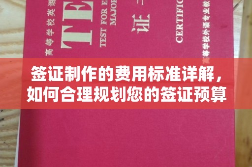 康平签证制作的费用标准详解，如何合理规划您的签证预算
